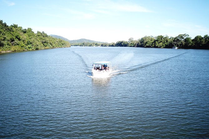 1-Hour Daintree River wildlife cruise - Guides who make the difference