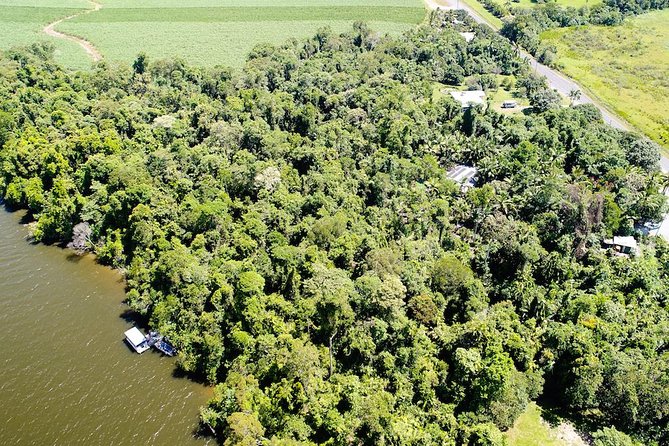 1-Hour Daintree River wildlife cruise - Family value at $25.10