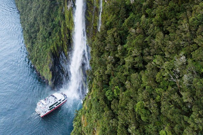 2-Hour Milford Sound Scenic Cruise - Comfort, crowding, and what is not included