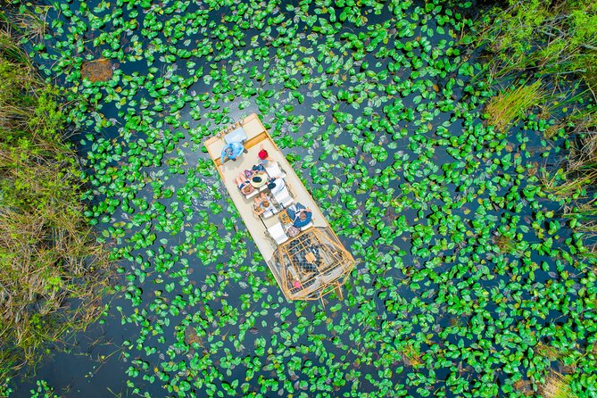 60 min. Everglades Airboat ride & pick-up ,small group +pro guide - What the $78 price really includes