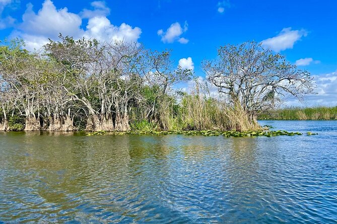 60 min. Everglades Airboat ride & pick-up ,small group +pro guide - Should you book this Miami Everglades tour?