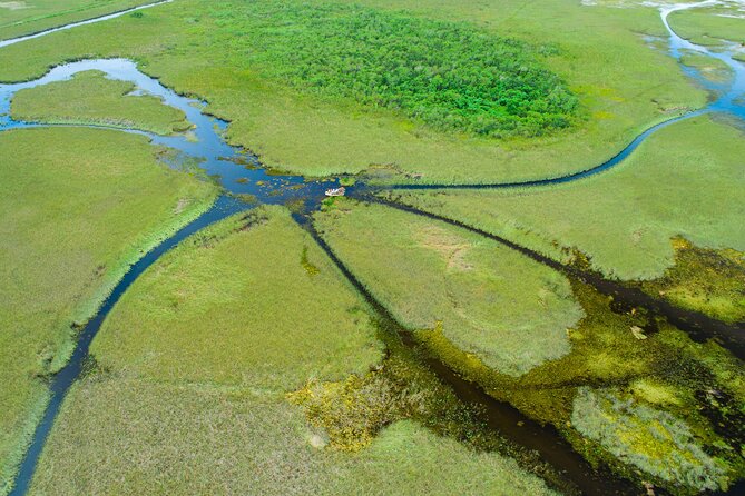 60 min. Everglades Airboat ride & pick-up ,small group +pro guide - The approximately 60-minute airboat ride