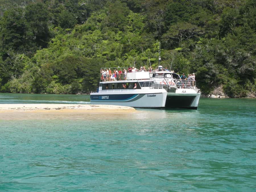 Abel Tasman National Full Park Scenic Cruise - Fur seals and the possibility of other wildlife