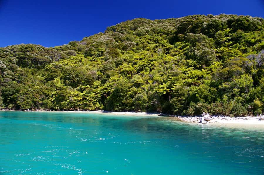 Abel Tasman National Full Park Scenic Cruise - The upper deck gives you the best views