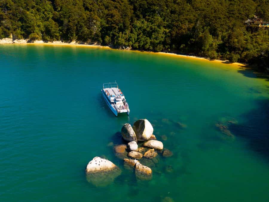 Abel Tasman National Full Park Scenic Cruise - Commentary that adds context without taking over