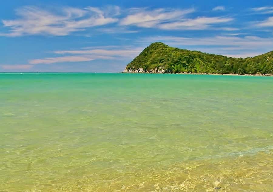 Abel Tasman National Full Park Scenic Cruise - Who should choose the full cruise