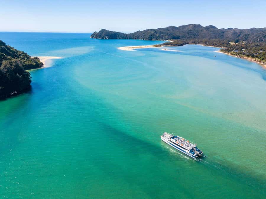 Abel Tasman: Sea Shuttle Cruise and Walking Tour Combo - Option A: Apple Tree Bay to Anchorage Beach