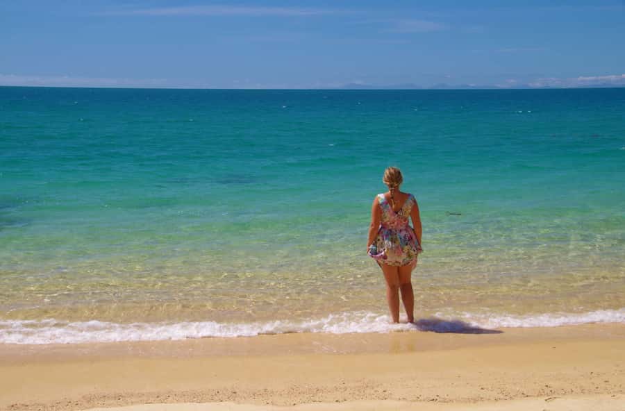 Abel Tasman: Sea Shuttle Cruise and Walking Tour Combo - How difficult are the walks?