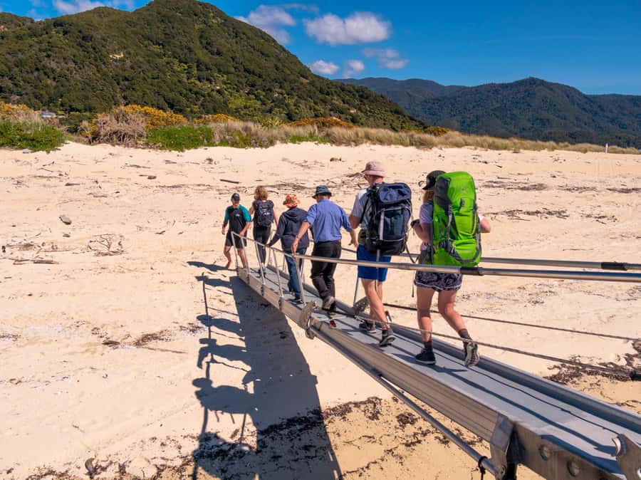 Abel Tasman: Sea Shuttle Cruise and Walking Tour Combo - Who should book this day?