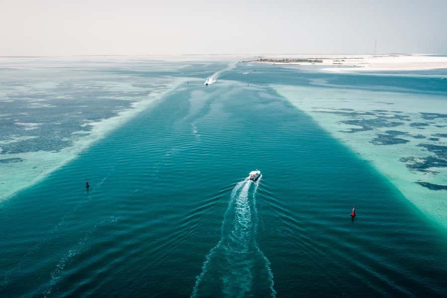 Abu Dhabi: 4-Hour Guided Cruise & Island Hopping - Etihad Towers and Qasr Al Watan from the Gulf