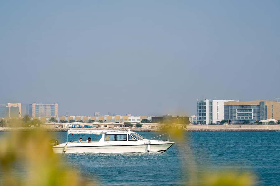 Abu Dhabi: 4-Hour Guided Cruise & Island Hopping - What the four hours feel like