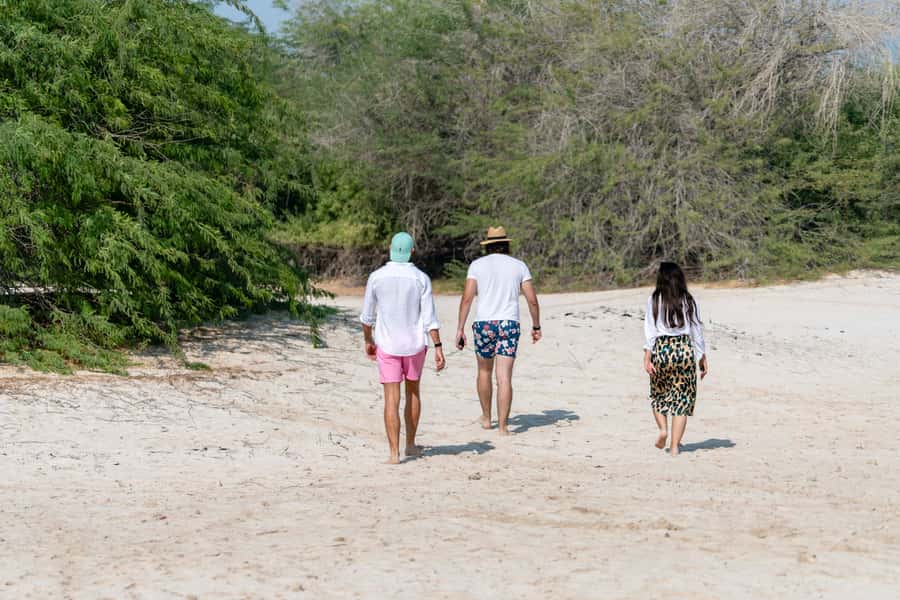 Abu Dhabi: 4-Hour Guided Cruise & Island Hopping - The boat and the group size matter