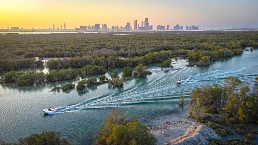 Abu Dhabi: Yas Island Self-Driving Guided Speedboat Tour - Mangrove Alley and the search for flamingos