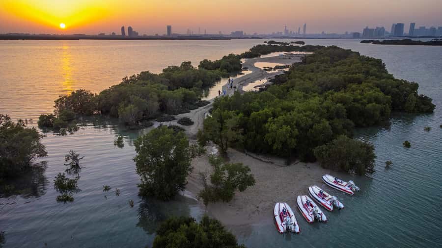 Abu Dhabi: Yas Island Self-Driving Guided Speedboat Tour - Timing, heat, and the best departure
