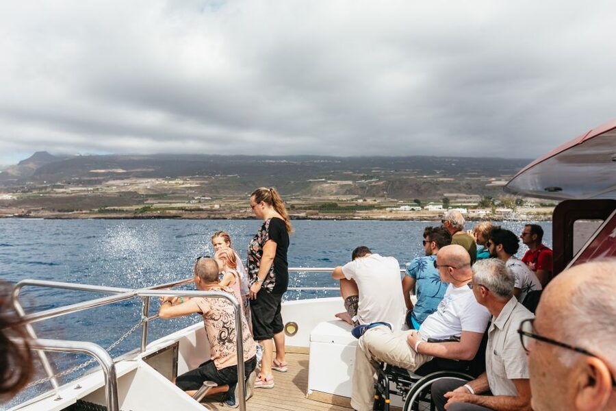 Adeje: Whale and Dolphin Watching Cruise with Lunch and Swim - What the underwater windows add