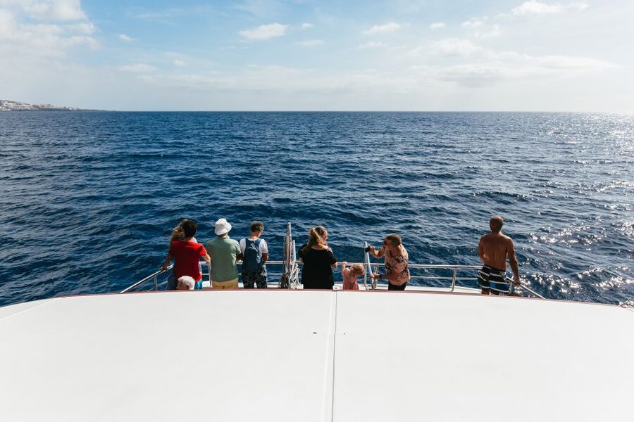Adeje: Whale and Dolphin Watching Cruise with Lunch and Swim - Lunch, drinks, and the real value of the $59 price