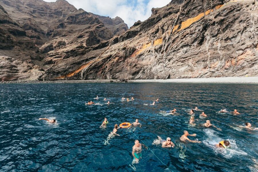 Adeje: Whale and Dolphin Watching Cruise with Lunch and Swim - How busy is the boat?