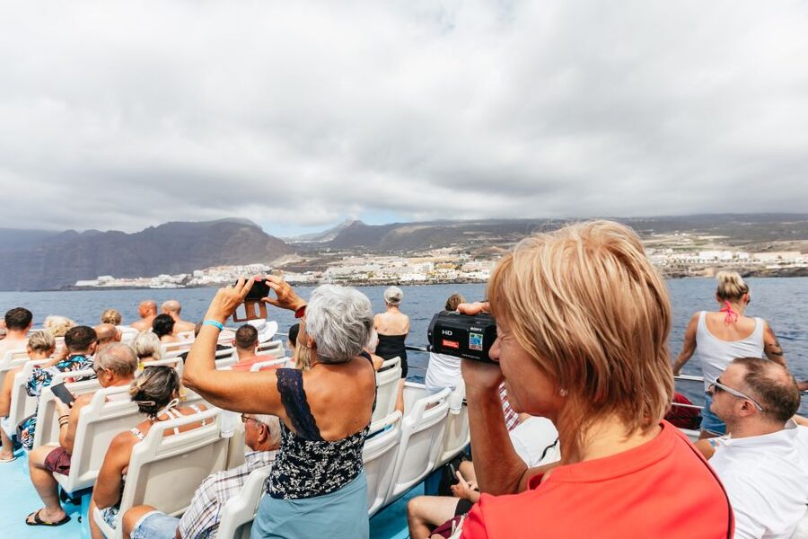 Adeje: Whale and Dolphin Watching Cruise with Lunch and Swim - Practical comfort and accessibility
