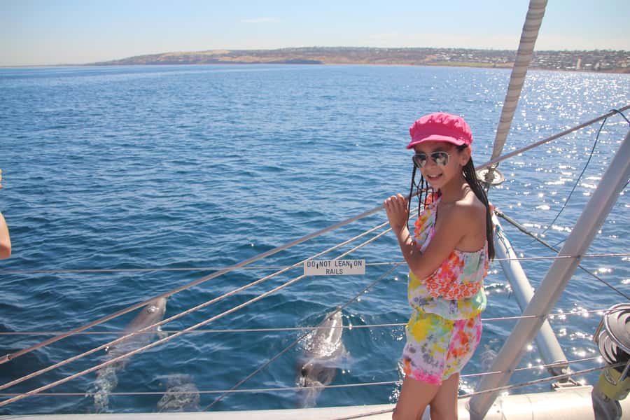 Adelaide: 4-Hour Guaranteed Wild Dolphin Watching Cruise - Coastal views beyond the dolphins