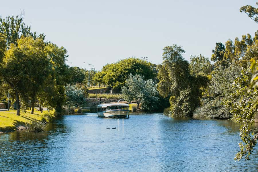 Adelaide: River Torrens Popeye Sightseeing Cruise - Adelaide’s river views and wildlife