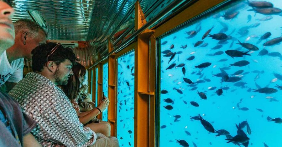 Agios Nikolaos: Semi-Submarine Cruise - Why the fish feeding matters