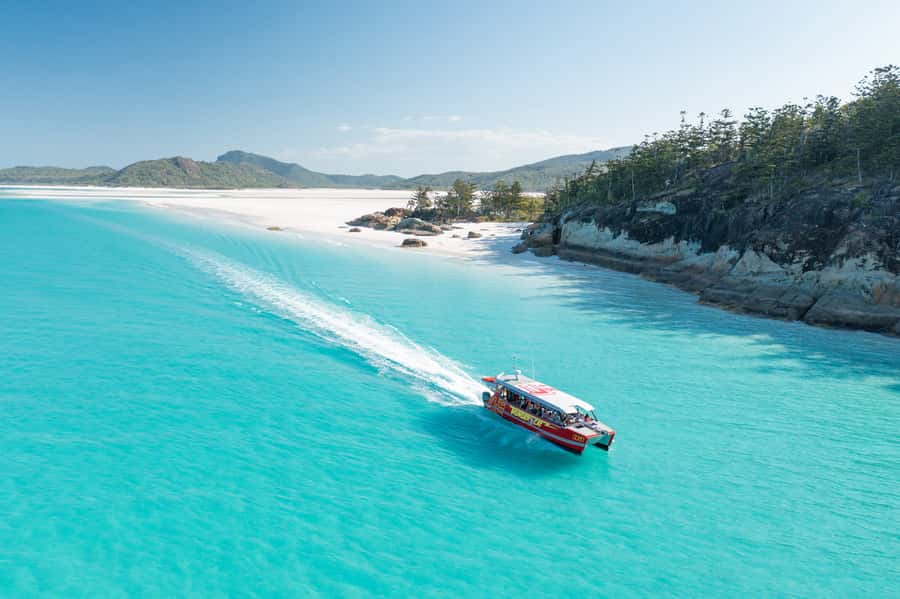 Airlie Beach: Whitehaven Full-Day Eco-Cruise with Buffet - Key points to know before booking