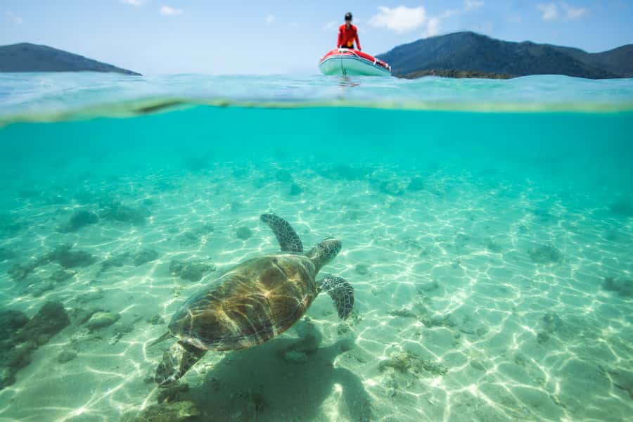 Airlie Beach: Whitehaven Full-Day Eco-Cruise with Buffet - The fast boat ride across the Whitsundays