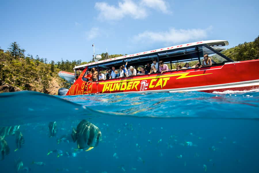 Airlie Beach: Whitehaven Full-Day Eco-Cruise with Buffet - Northern Hook Island for a second look below the surface