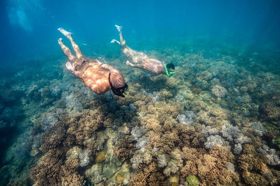 Airlie Beach: Whitehaven Full-Day Eco-Cruise with Buffet - Lunch, brownies, and food that keeps the day moving