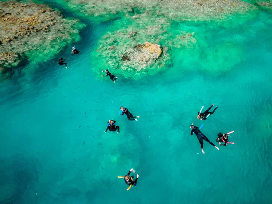 Airlie Beach: Whitsunday Islands 2-Day Sailing Tour - Snorkeling the Whitsunday reef sites