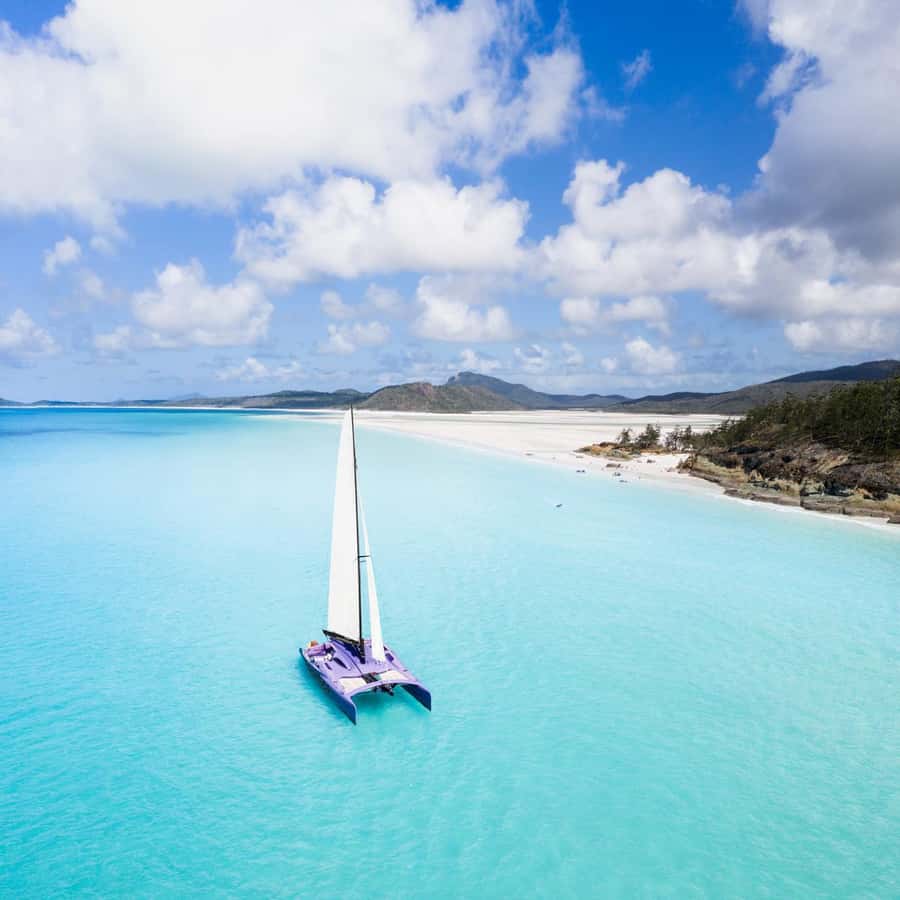 Airlie Beach: Whitsundays Full-Day Camira Sailing Adventure - Weather, tides, and the physical demands