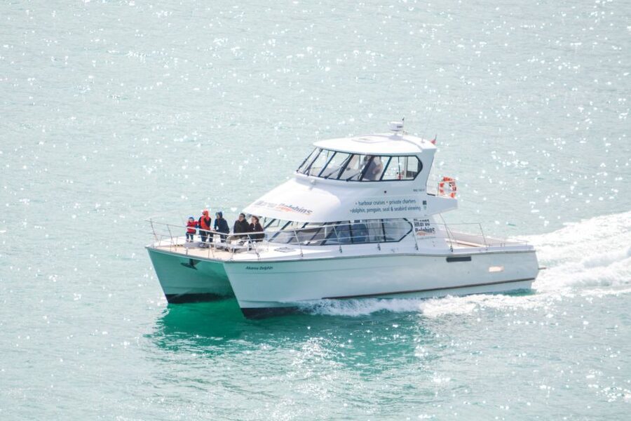 Akaroa: Dolphin Nature Cruise - Seals, penguins, and other harbour wildlife
