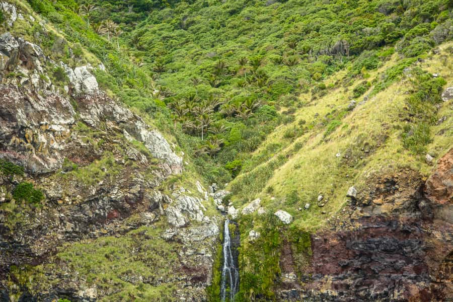 Akaroa: Dolphin Nature Cruise - What is included for $77