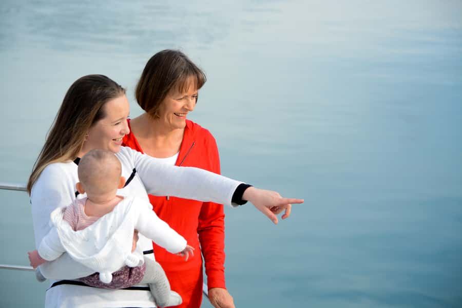 Akaroa: Dolphin Nature Cruise - Timing your day from Christchurch or the port