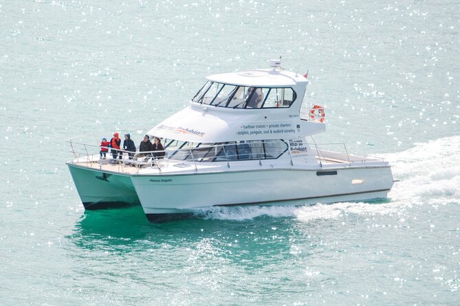 Akaroa Dolphins ~ Harbour Nature Cruise - Setting out from 65 Beach Road in Akaroa
