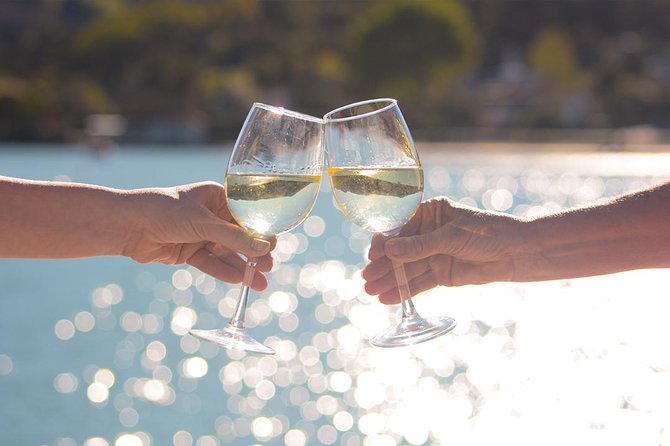Akaroa Dolphins ~ Harbour Nature Cruise - The drink and cookie are small perks with real value