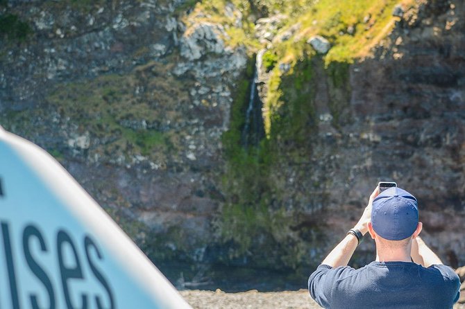 Akaroa Dolphins ~ Harbour Nature Cruise - What the crew adds to the trip