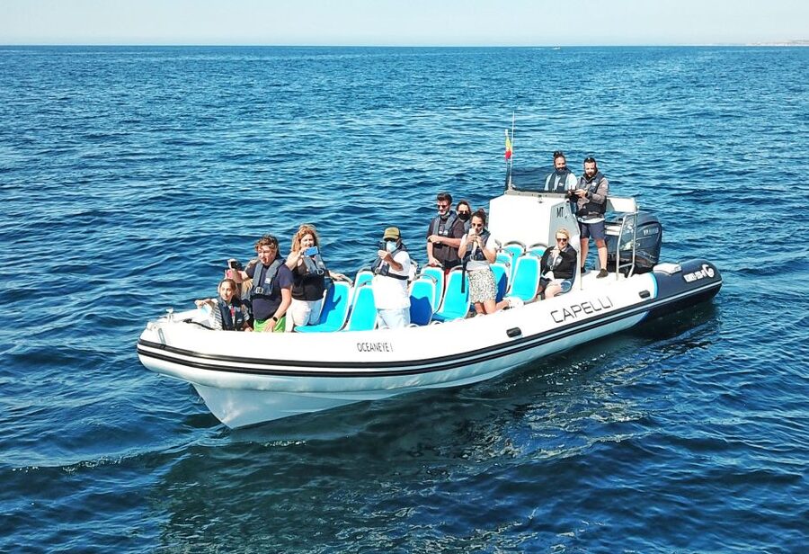 Albufeira: Benagil Cave and Dolphin Sightseeing Boat Cruise - The dolphin search is the wild-card finale