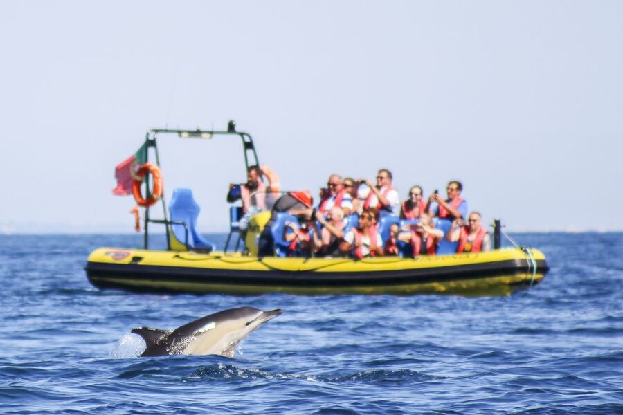 Albufeira: Benagil Caves & Dolphin Watching Speed Boat Tour - Benagil Cave, seen quickly and from the right angle