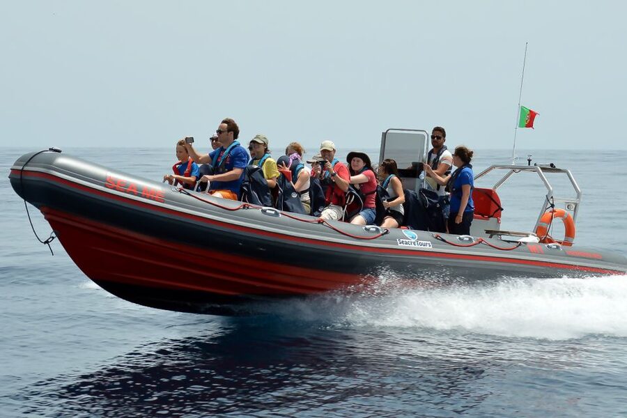 Albufeira: Dolphin Watching and Benagil Cave Boat Cruise - From Albufeira Marina to the Atlantic