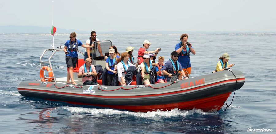 Albufeira: Dolphin Watching and Benagil Cave Boat Cruise - Why the small boat matters at Benagil Cave