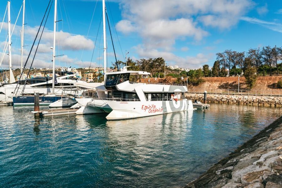 Albufeira: Sightseeing Cruise with Beach BBQ and Open Bar - Who should book this coastal day?