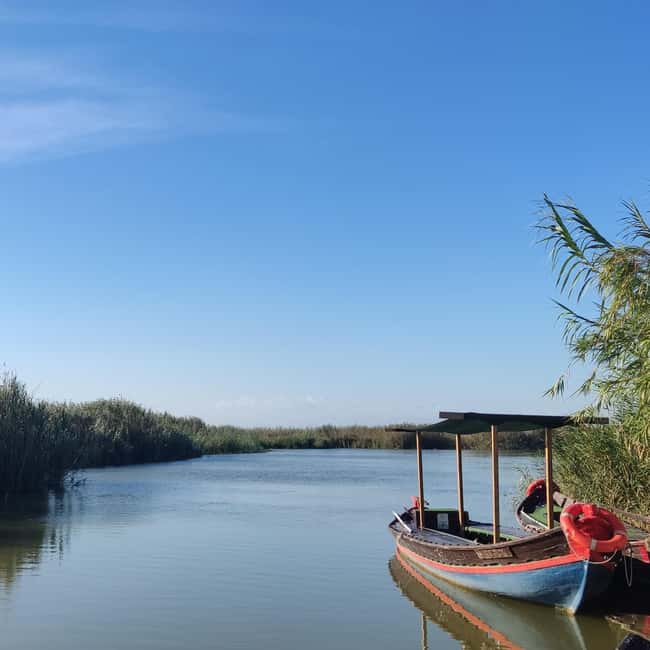 Albufera de Valencia: boat ride and visit to a barraca - The 45-minute boat ride across the lagoon