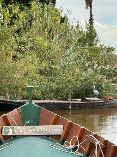 Albufera Valencia: Guided electric boat ride, also at sunset - Key points to know before you book