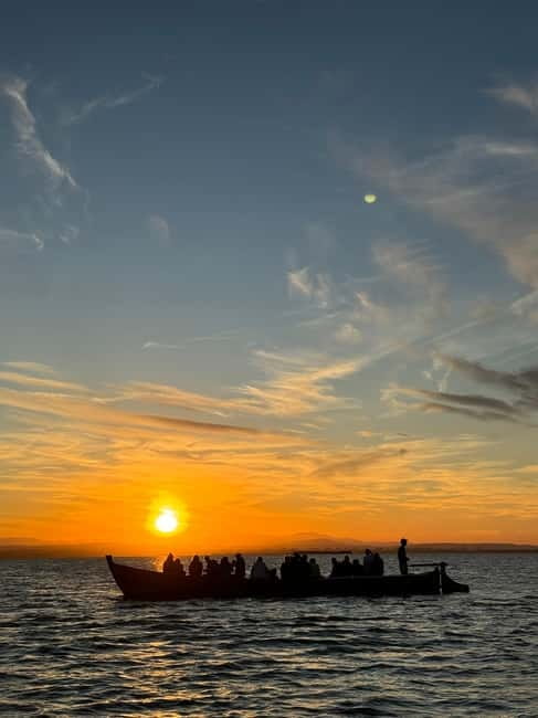 Albufera Valencia: Guided electric boat ride, also at sunset - The canals, birds, and working wetland