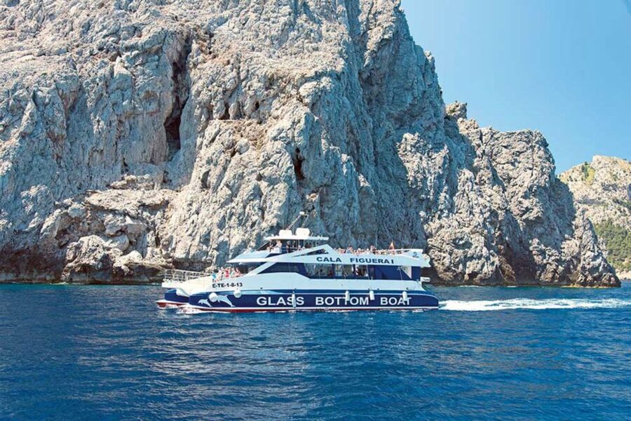 Alcudia: Boat Trip to Coll Baix - Who should book this trip?