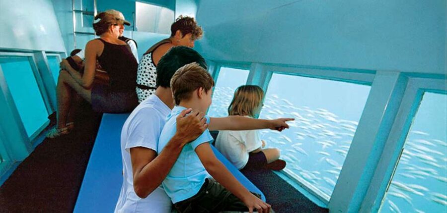 Alcudia: Boat Trip to Coll Baix - What this Alcúdia boat trip is really like