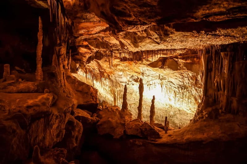 Alcudia: Caves of Drach Tour from the North with Boat Trip - Why the Caves of Drach are worth the trip from Alcudia