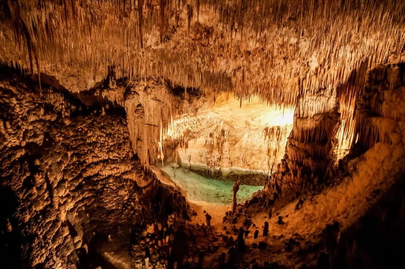 Alcudia: Caves of Drach Tour from the North with Boat Trip - What the $63 price really buys you