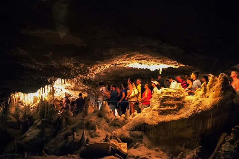 Alcudia: Caves of Drach Tour from the North with Boat Trip - Who will enjoy this excursion most